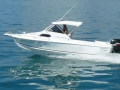 reef_1